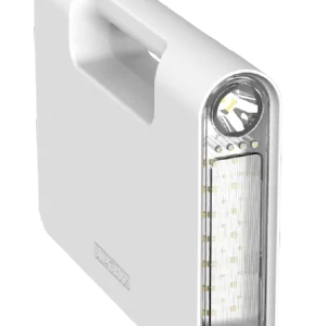 POWER BAND SSE - BCT-CF1.0 Carbon Free 2025-1-8_Plan de travail 1