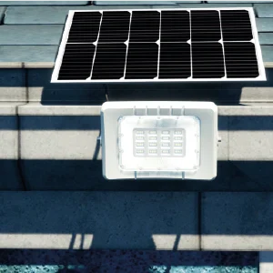 Projecteur 30w SSE-06