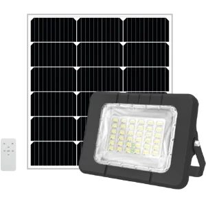 Projecteur 60w SSE-02